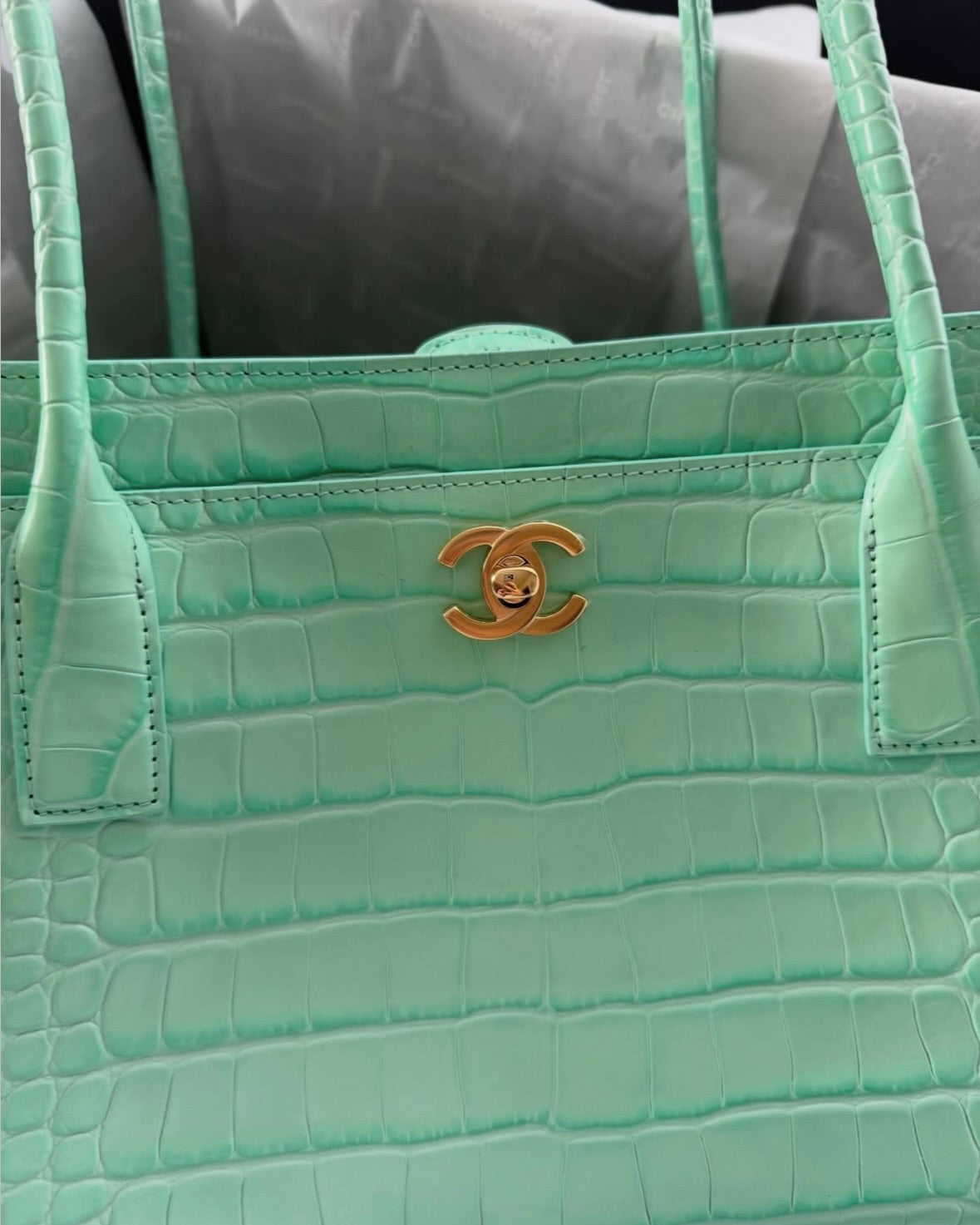 Mint Green Crocodile Bag (No Box)