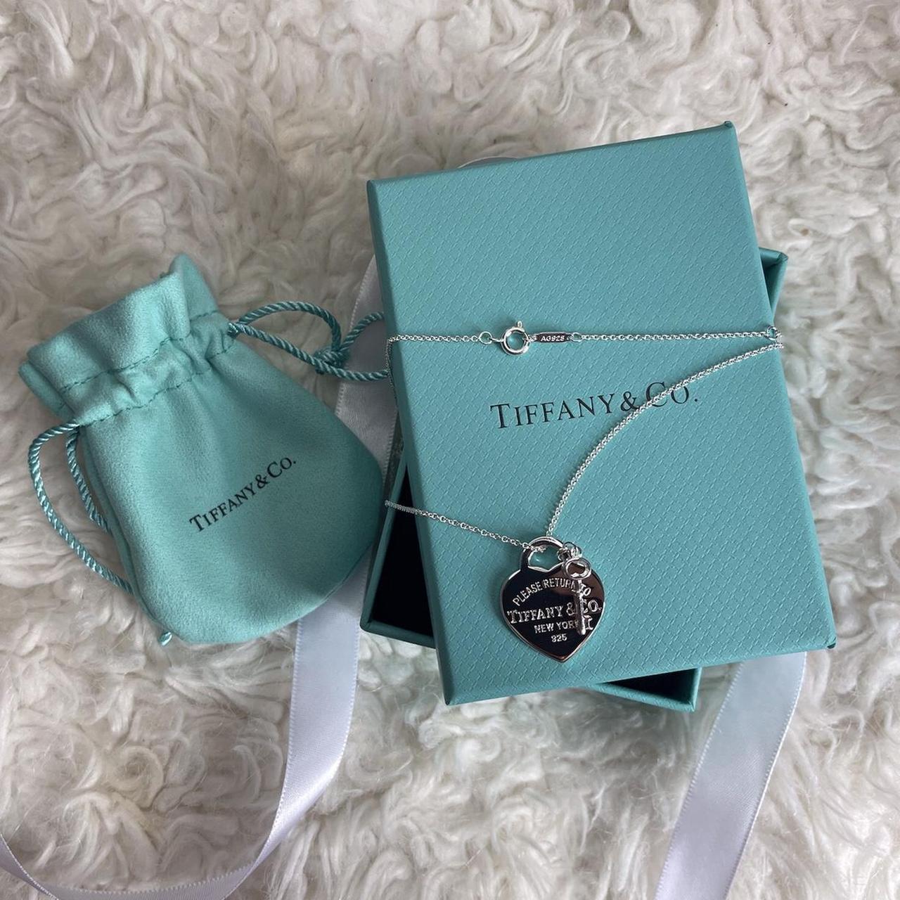 Heart & Key Stainless Steel Waterproof Necklace